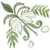 Ornamento 2 co cor.png