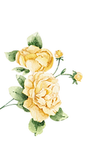 Flores_edited.png