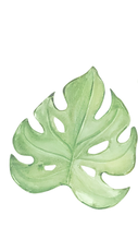 watercolor-bright-green-tropical-leaves-summer-designs_edited.png