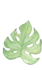 watercolor-bright-green-tropical-leaves-summer-designs_edited.png