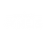 Logo Pinus branco.png