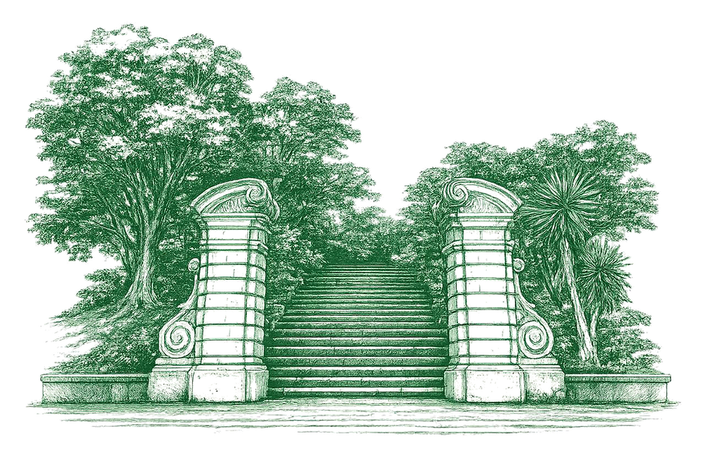 ilustração.png