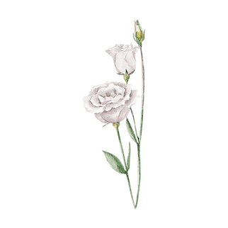 flores 5.png