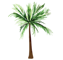 ELEMENTOS PRAIEIROS-6.png