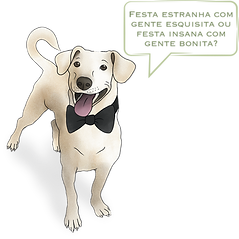 Pipo_vs2_0002_PROGRAMAÇÃO.png