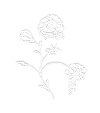 Flor relevo.png