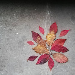 Aflame