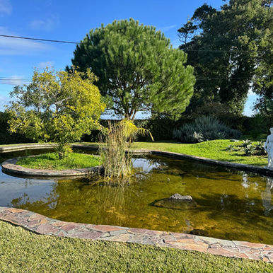 Garden pond at an exclusive private retreat.