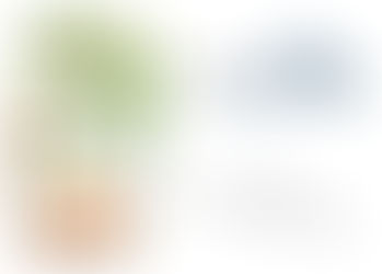 Ibogaine vs Full-Spectrum Iboga Root: Why the Whole Plant Matters