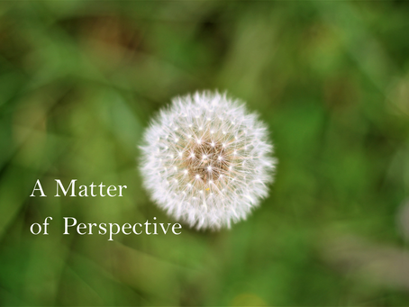 A Matter of Perspective