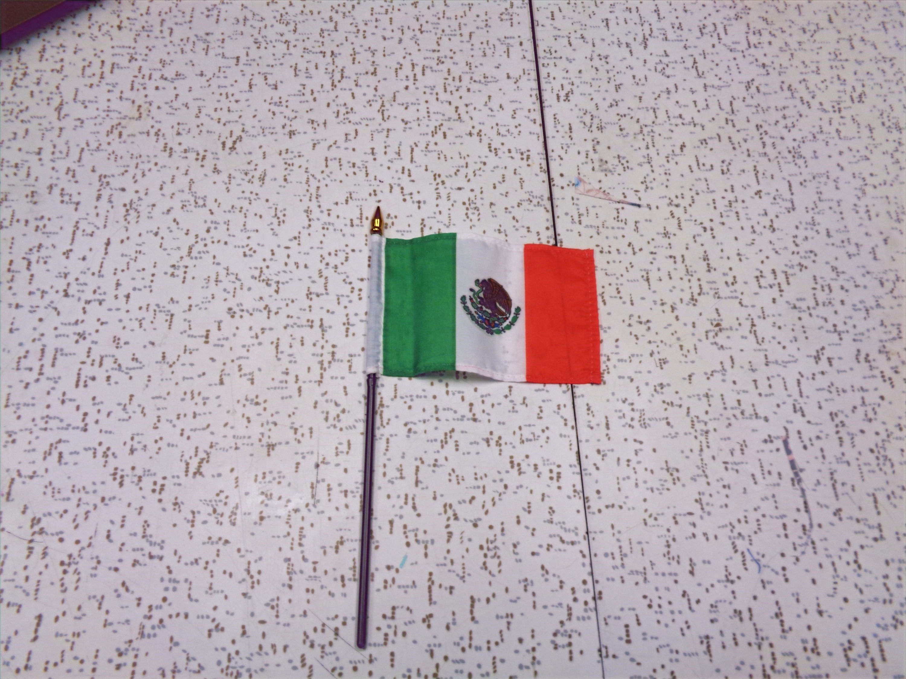 Mexican flag and stick for your lic plate