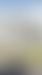 Nouveau programme à Reims