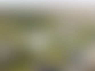 Proposition TOPOS paysage