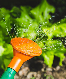 Plant Watering