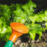 Plant Watering