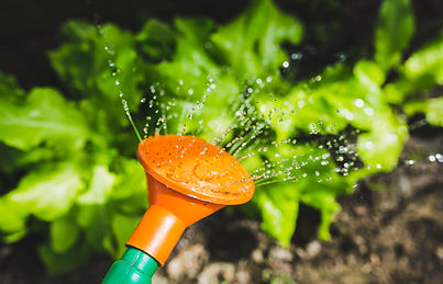 Plant Watering