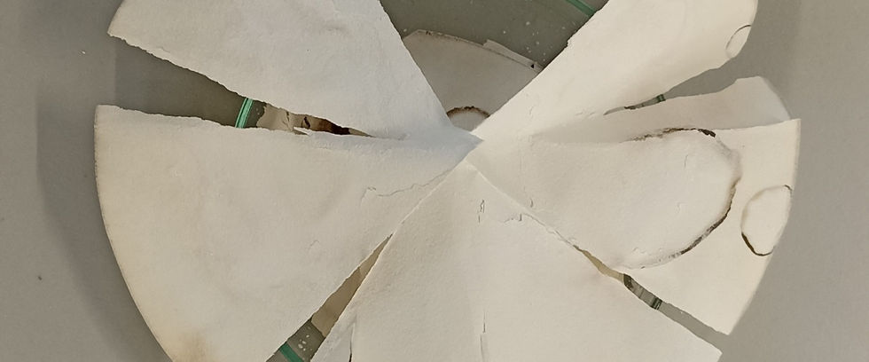 Papel filtro.jpg