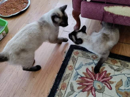 Pearl and Big Boy