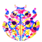 favicon_edited_edited_edited_edited.png