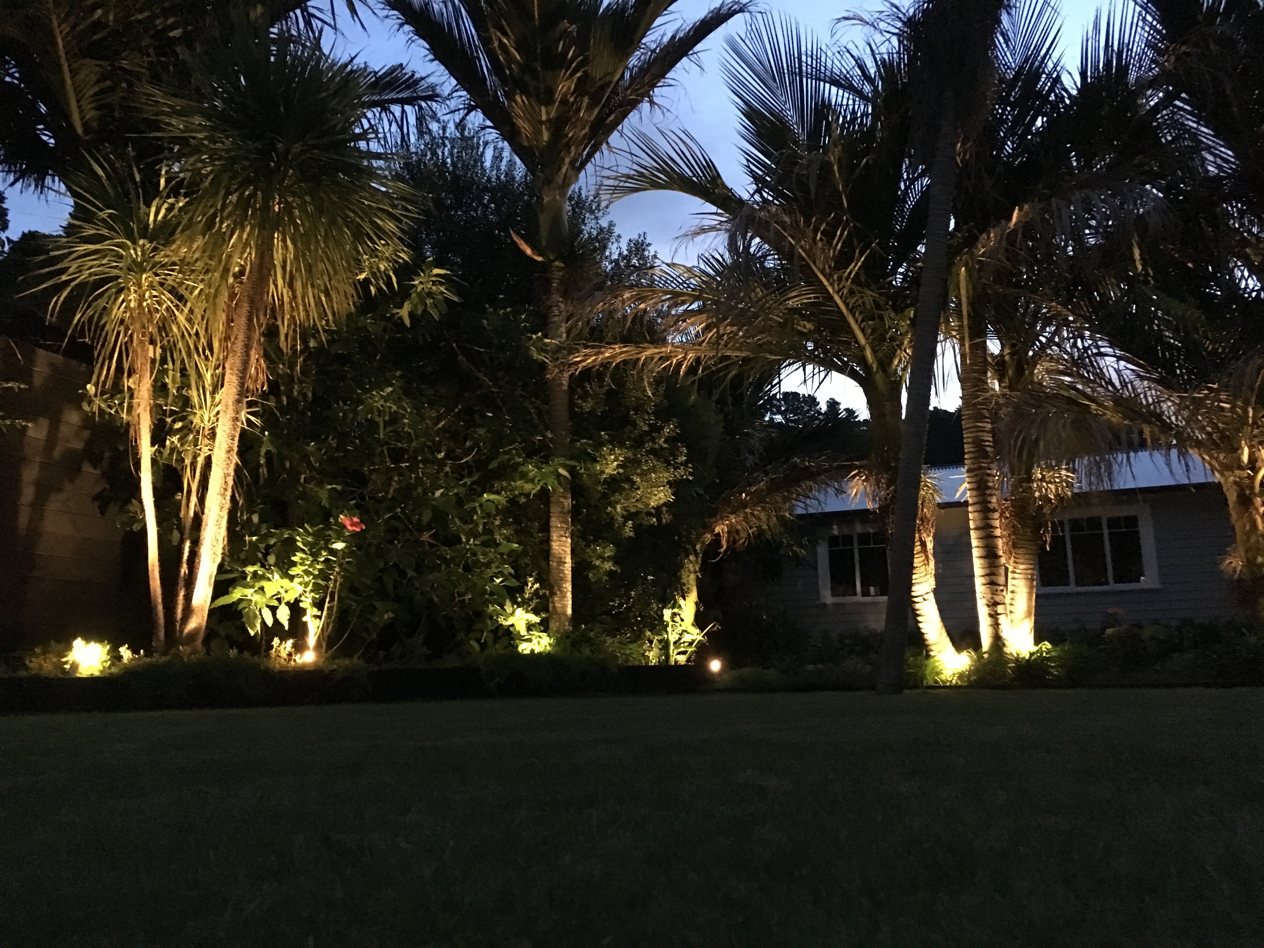 Garden Lighting