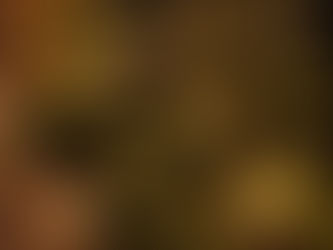 Five Garden Features That Look Extraordinary When Lit at Night