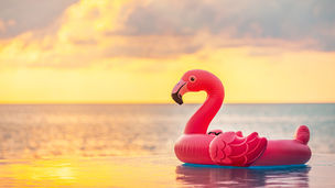 An image of a pool float at a resort