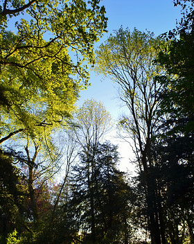 DSC_1485.jpg