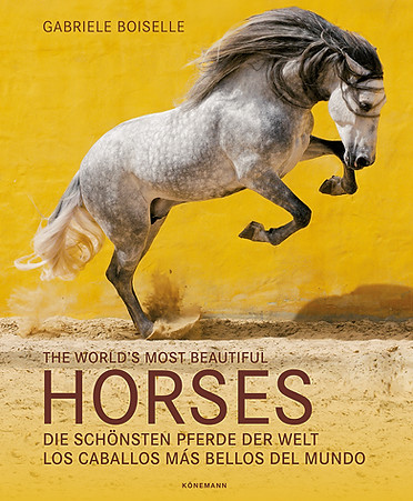 Buch The World´s most beautiful Horses