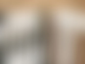 Ausbildungstagebuch No. 5 – Wie lange brauche ich die Longe für das junge Pferd?