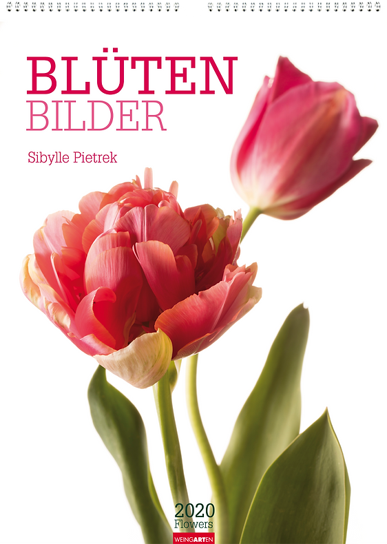 Kalendergestaltung, Blüten Bilder 2020 Kalender, Sibylle Pietrek, Weingarten, Werbeagentur r2 Mediendesign, Verden