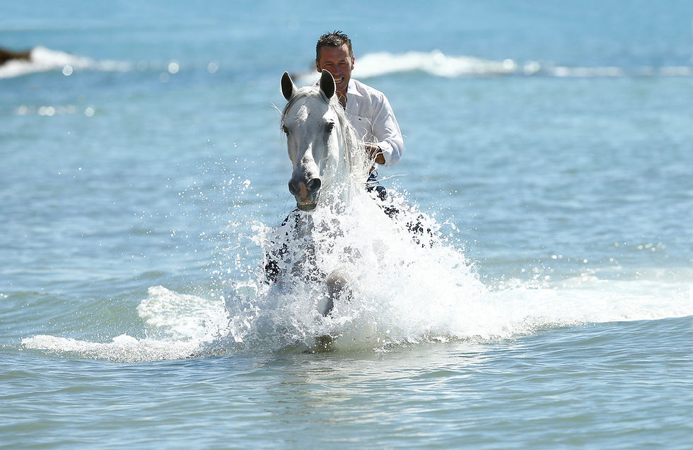 Fototipp Andalusierhengst am Strand