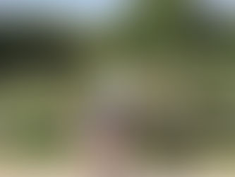 Loben ohne Ende – Kann ein Trainer zu nett sein?