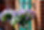 Ferienwohnung Ehrichs Blumen 3.jpg