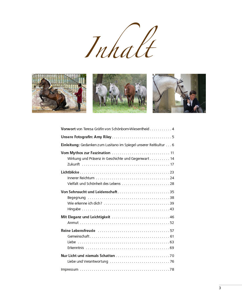 Miniaturbild: Dr. Birgit Vock-Wannewitz | Der Lusitano im Spiegel unserer Reitkultur