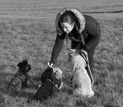 Epsom Surrey dog trainer and walker