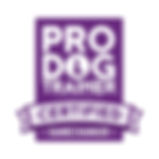 PDT Logo Certified