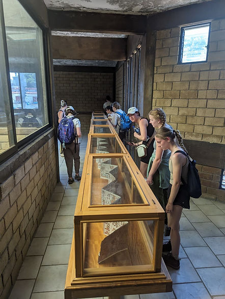 global seminar tutu.jpg