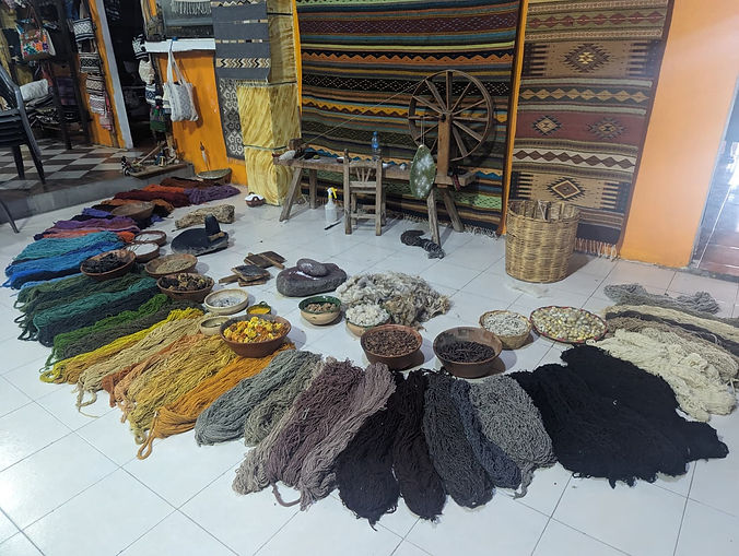 global seminar teotitlan.jpg