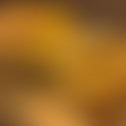 Beer Pub Cheese Bread