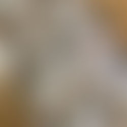 Chocolate Cheesecake Bites