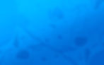 mv_bg_v3.jpg