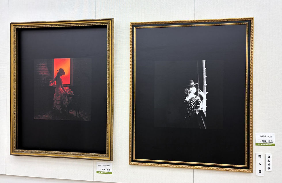 2605入交恒子現展入選_加藤雅也新人賞2作品
