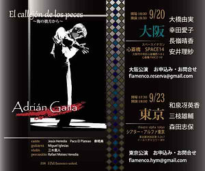 2609_アドリアン・ガリア来日公演バナーA