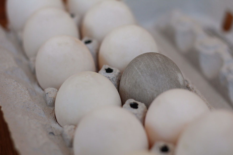 Thumbnail: Duck Eggs