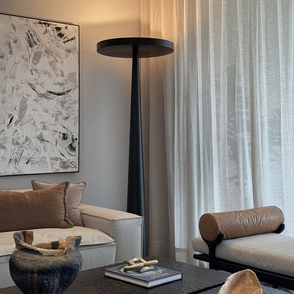 luz pag_0_edited.jpg