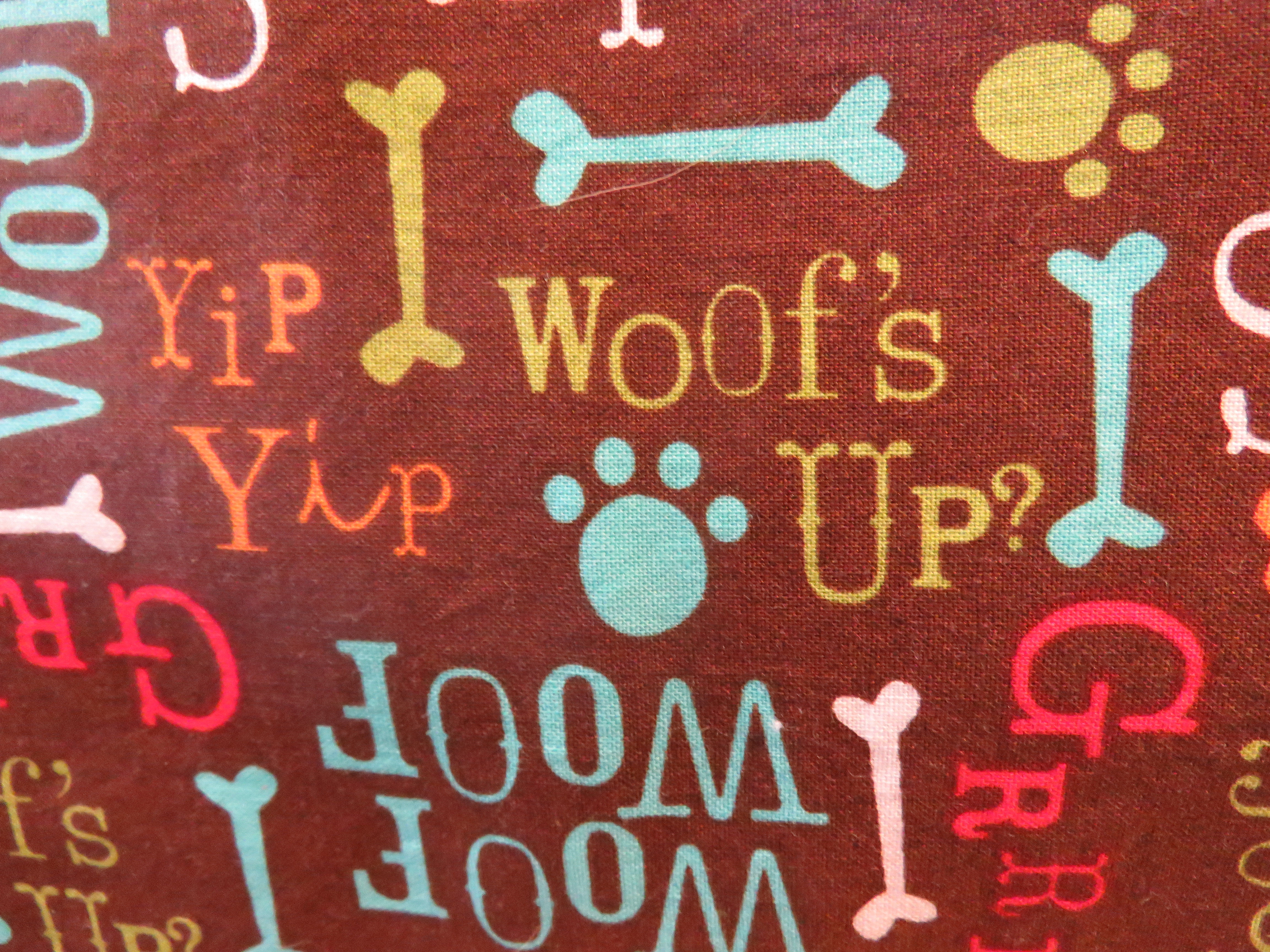 Paws and Bones on Brown