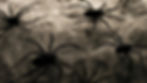 8ec9bdd349f79ab24b8cbc41996ed164_edited.jpg