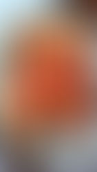 Crispy Oven-Roasted Spatchcock Whole Chicken (Juicy Every Time)