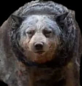 ree