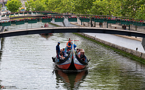 O Rio Vouga e seus moliceiros para passeios turísticos em Aveiro, Portugal